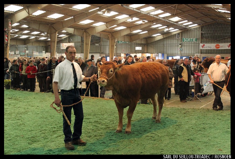 Festival de l'élevage Quimper - 2012